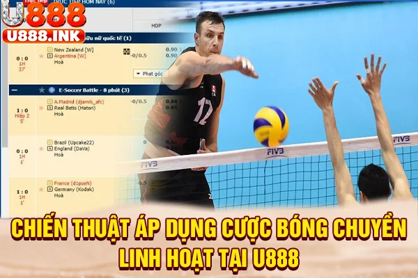 Chiến thuật áp dụng cược bóng chuyền linh hoạt tại U888