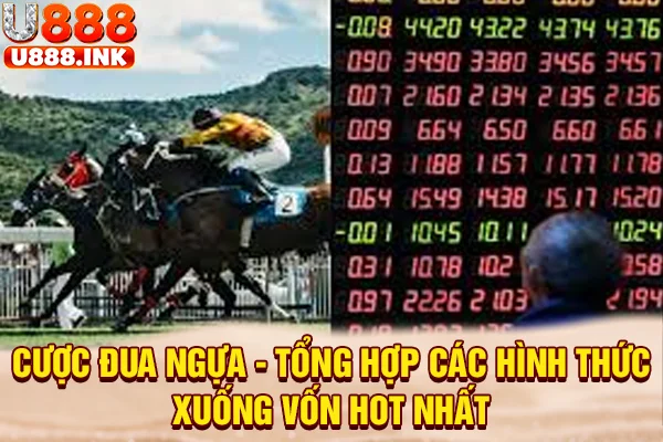 Cược Đua Ngựa - Tổng Hợp Các Hình Thức Xuống Vốn Hot Nhất