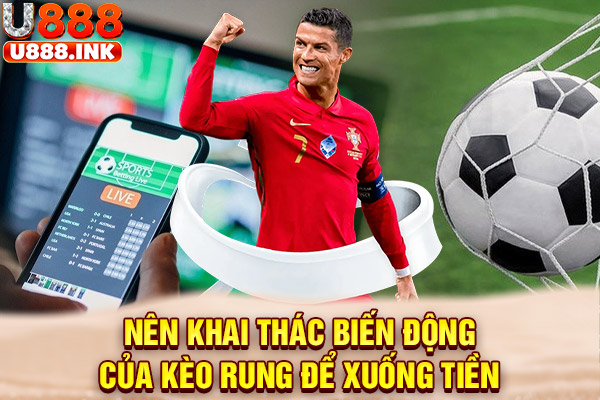 Nên khai thác biến động của kèo rung để xuống tiền