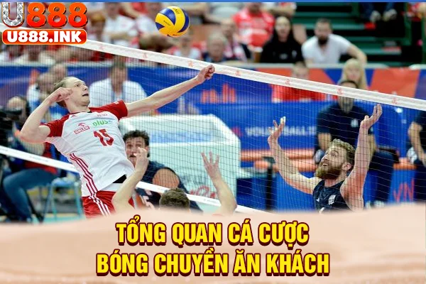Tổng quan cá cược bóng chuyền ăn khách